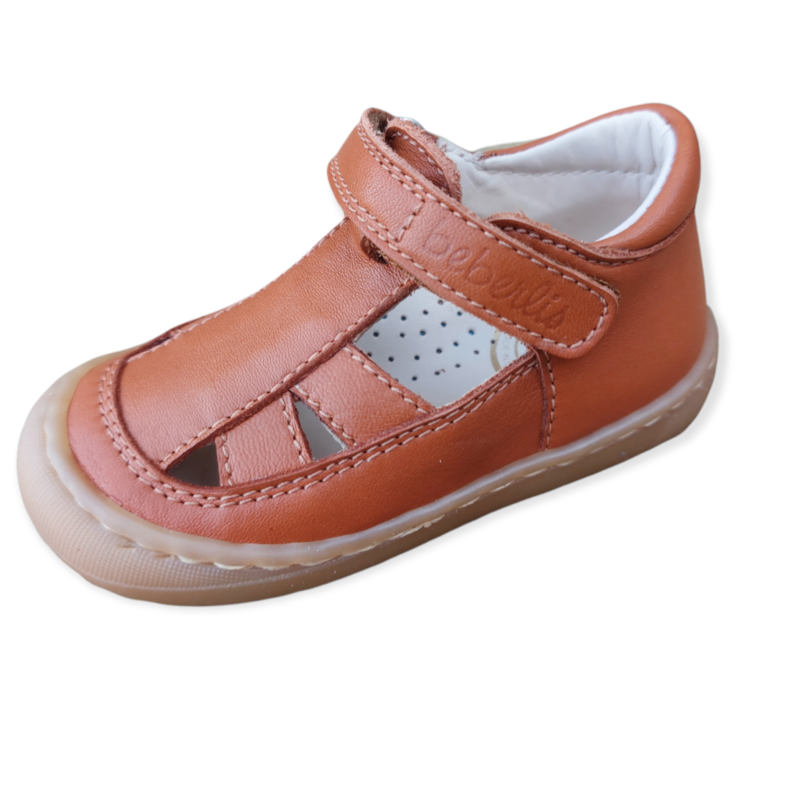 22406-A eerste stapper cognac met plakker
