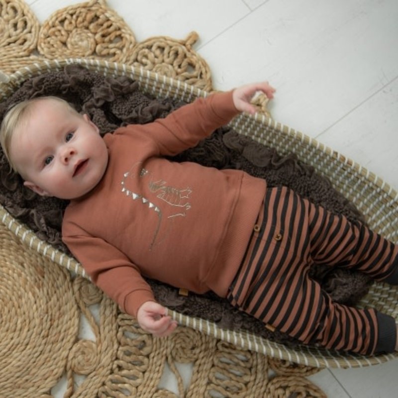 Stripes pants Frogs & dogs 22082004