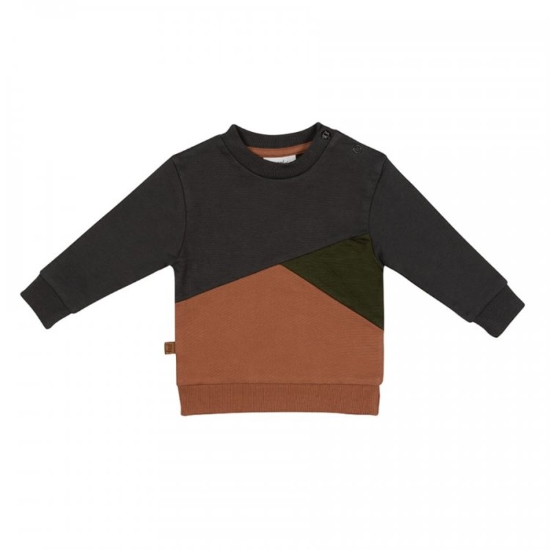 Dino park sweater colour block 22082010