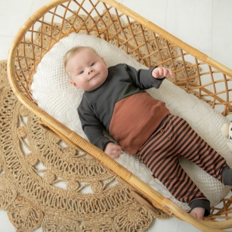 Dino park sweater colour block 22082010