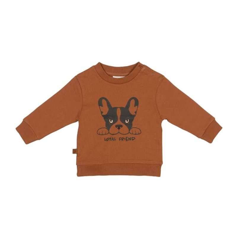 Playtime Sweater Loyal Friend