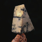 OMAGE Holiday Specials - Blue Bacchus