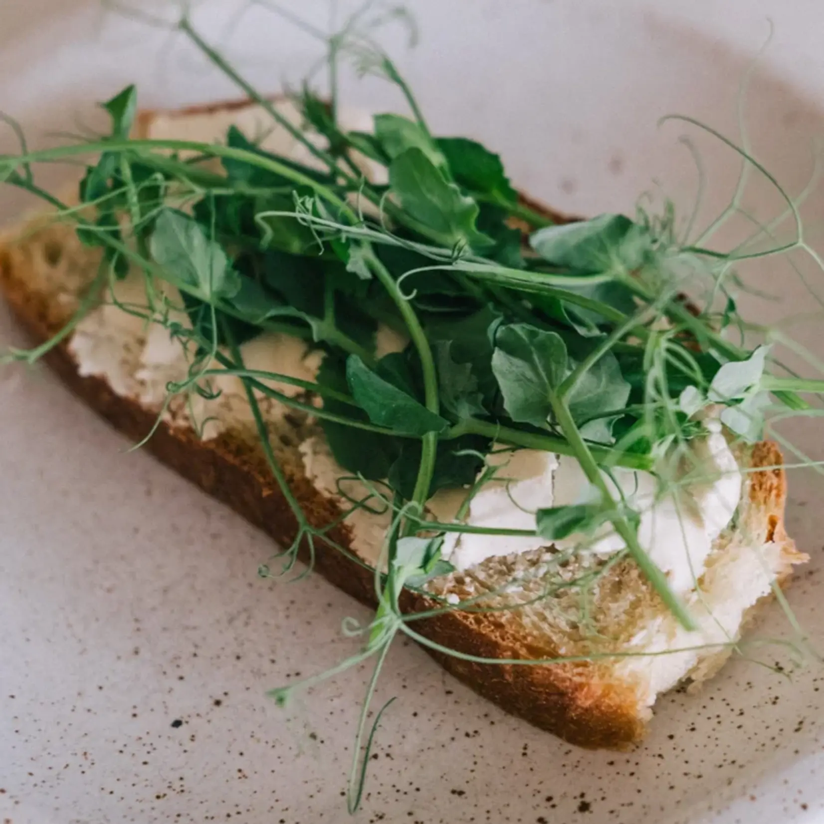 Casheury Casheury Bio Vegan Pure Flavour Aged Cheese ‘BIANCO’
