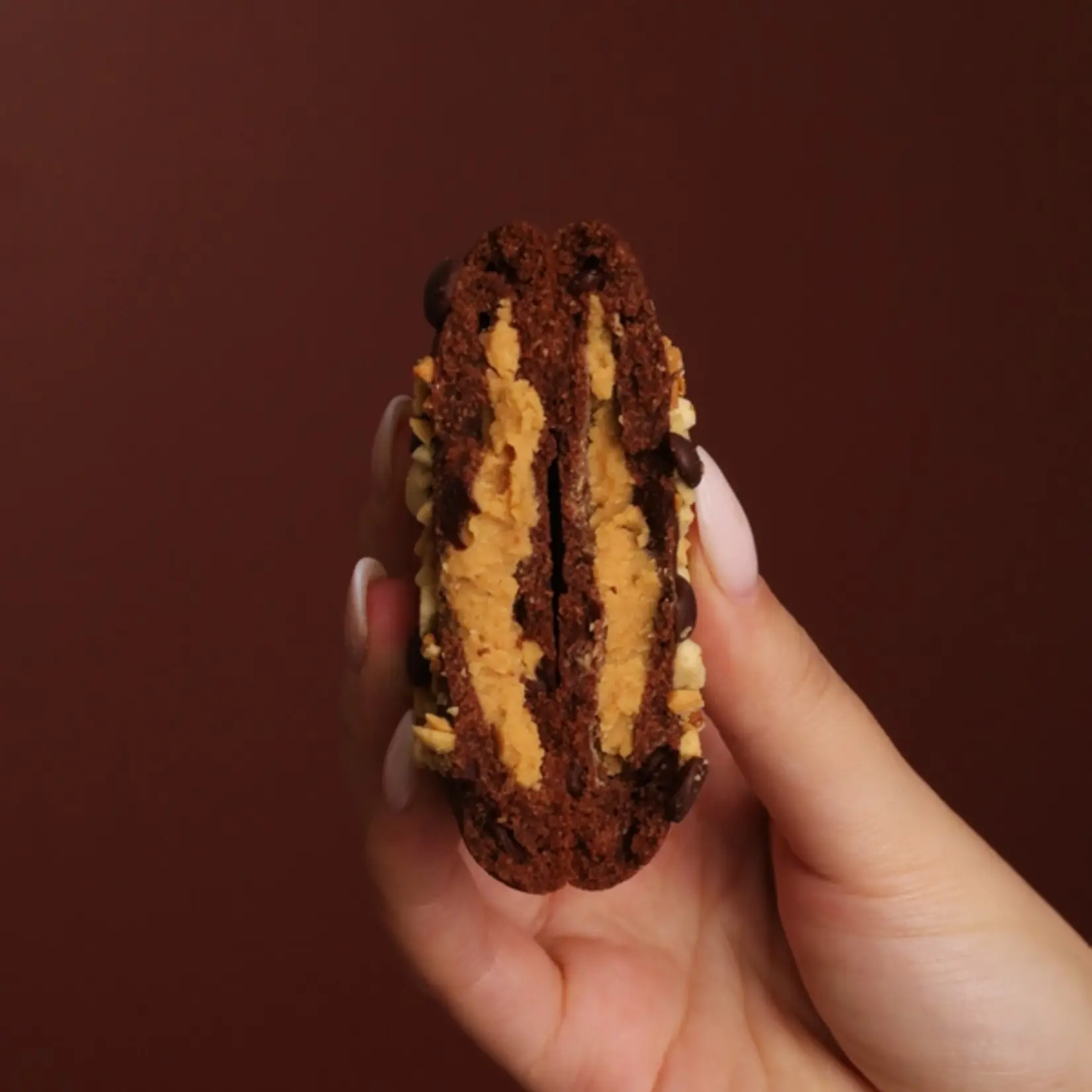 RHYTHM [V] Chocolate Peanut Butter Cookie