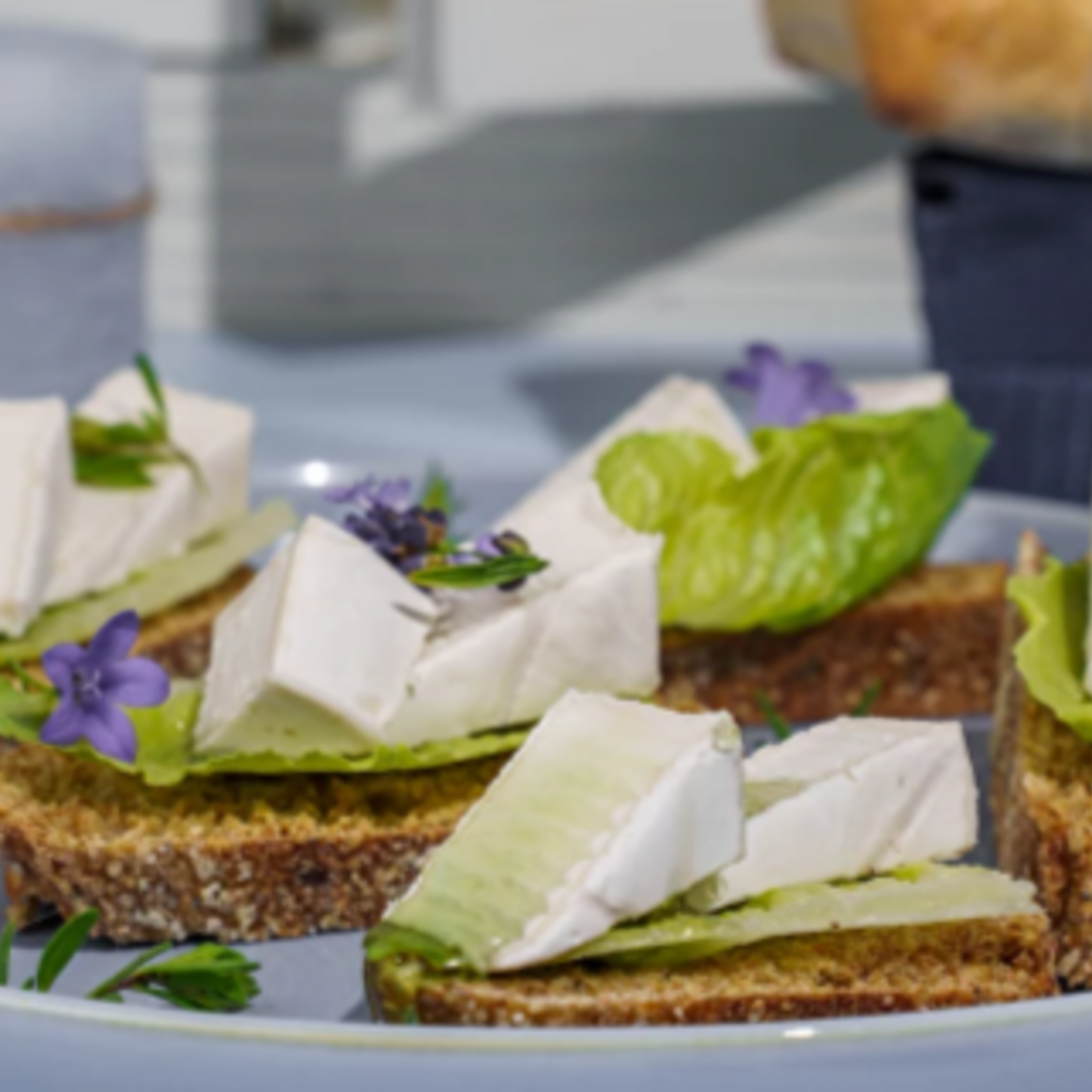Planeo [V] Camembert