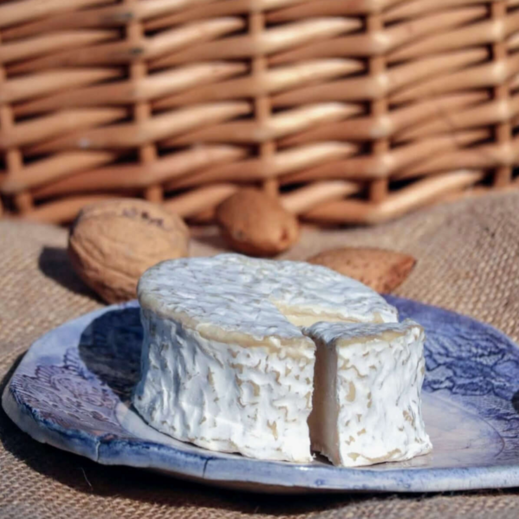 MUKA [V] Cajuberto - BIO Camembert