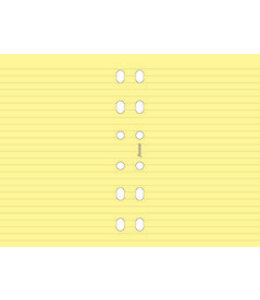 Filofax FILOFAX ORG UND POCKET YELLOW RULED NOTEPAPER