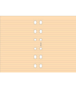 Filofax FILOFAX ORG UND POCKET SALMON RULED NOTEPAPER