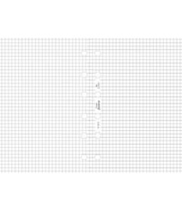 Filofax FILOFAX ORG UND POCKET WHITE QUADRILLE NOTEPAPER