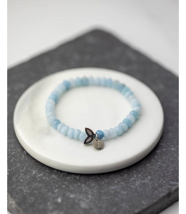 Didyma alinda blue S