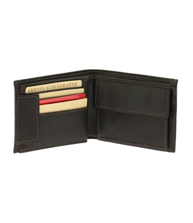 portefeuille Louis 8cc