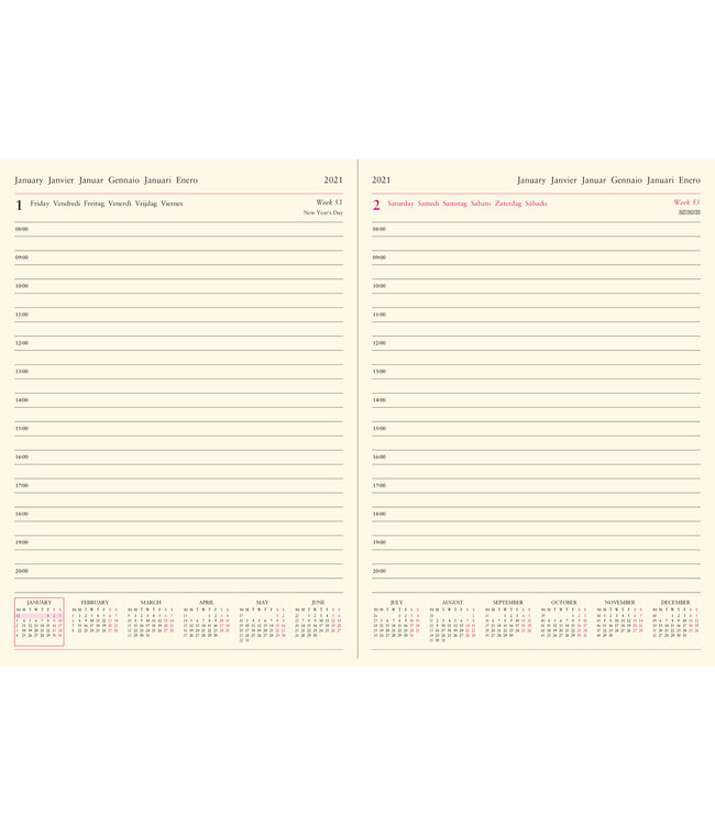 Lett's of London 2024 Diary Lecassa A4 Day/page (Brown)
