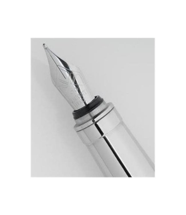 Visconti Rembrandt Master of Art Pink Fountain pen (A66 Nib)