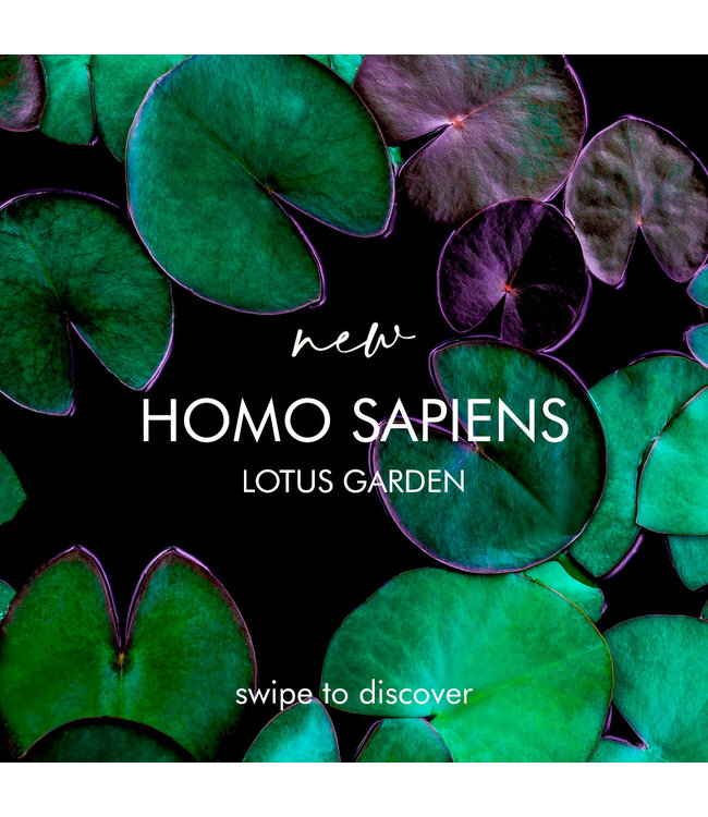 Visconti Homo Sapiens Lotus Garden Roller