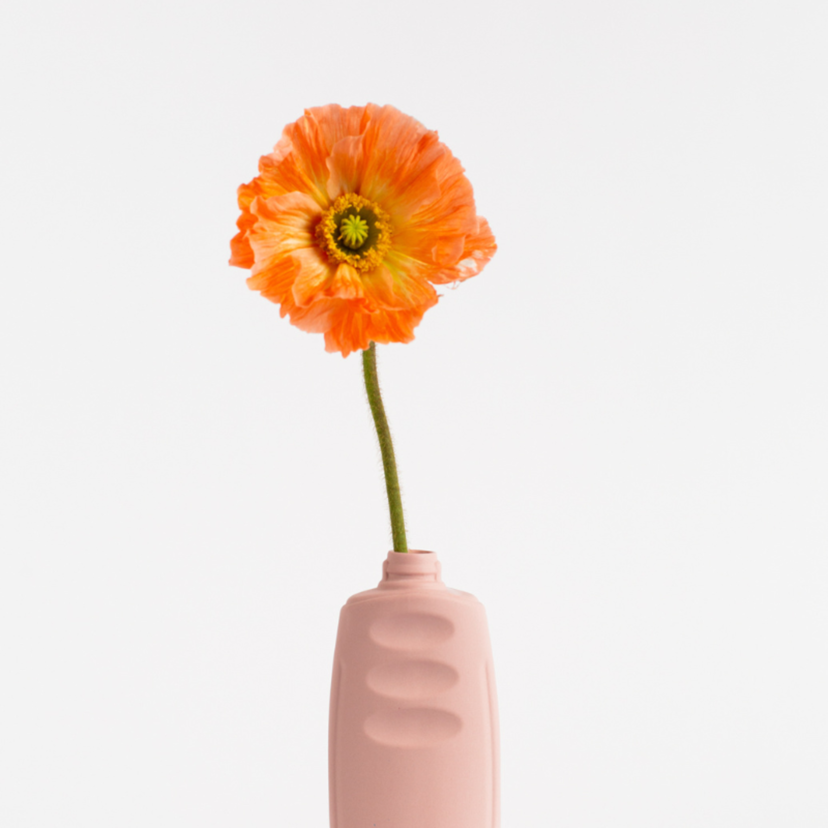 foekje fleur foekje fleur - bottle vase  #23 - powder