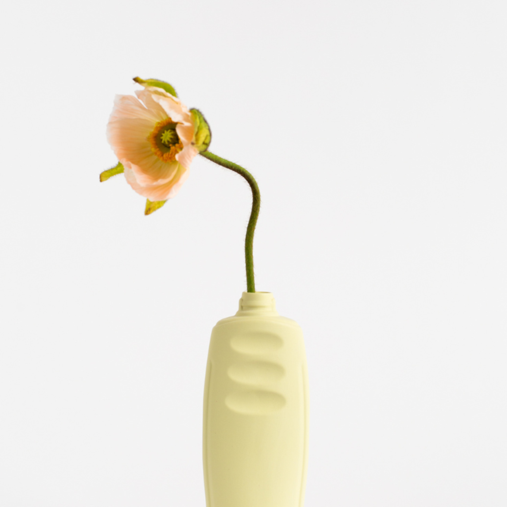 foekje fleur foekje fleur - bottle vase  #23 - post it