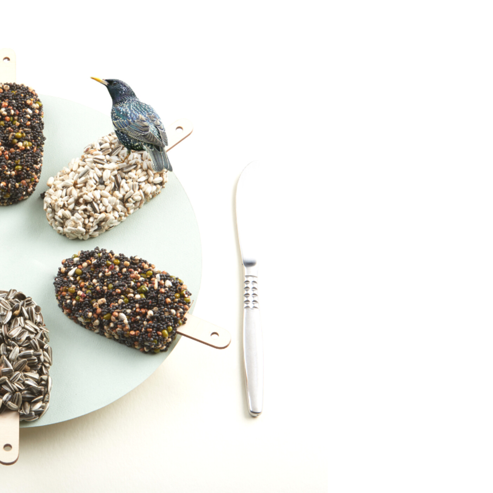 Woodpecker Seed Cake Case 8+1 | The Bird House NY