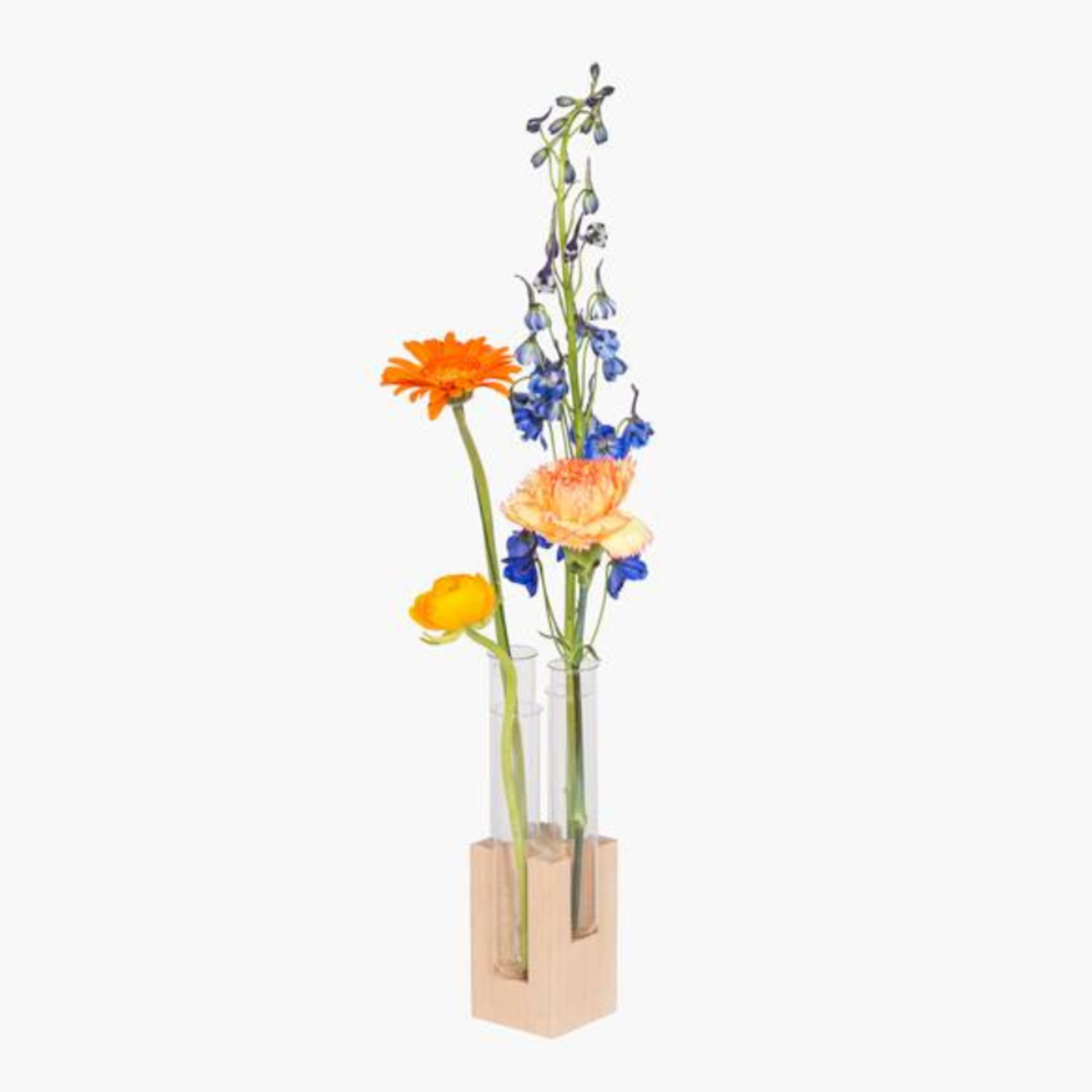 figr1 figr1 block4 - esdoorn testtube vase