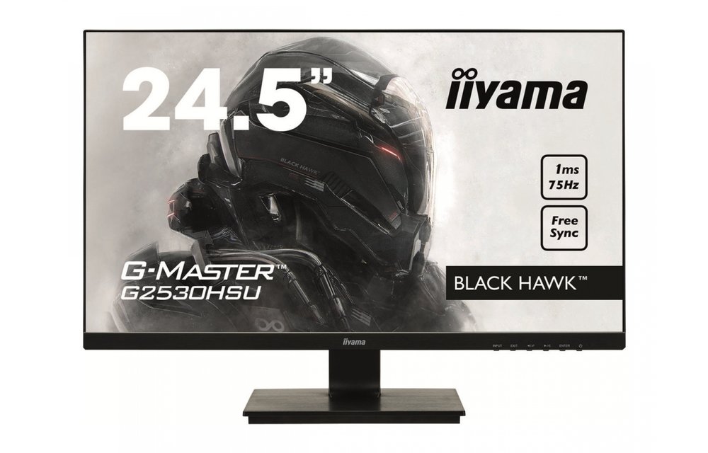 Iiyama G2530HSU-B1 Monitor 24,5 inch