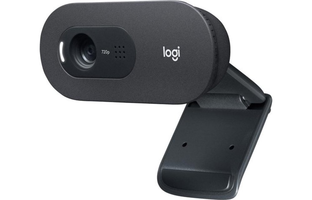 Logitech C505e HD - Webcam