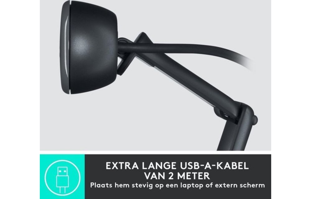 Logitech C505e HD - Webcam