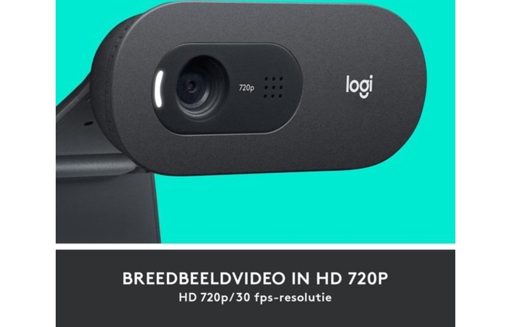 Logitech C505e HD - Webcam