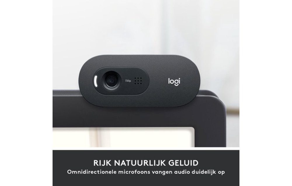 Logitech C505e HD - Webcam
