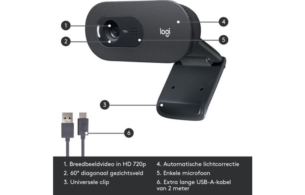 Logitech C505e HD - Webcam