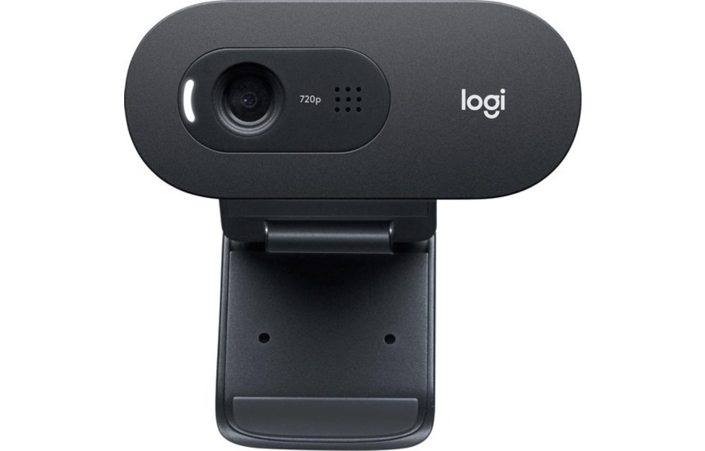 Logitech C505e HD - Webcam