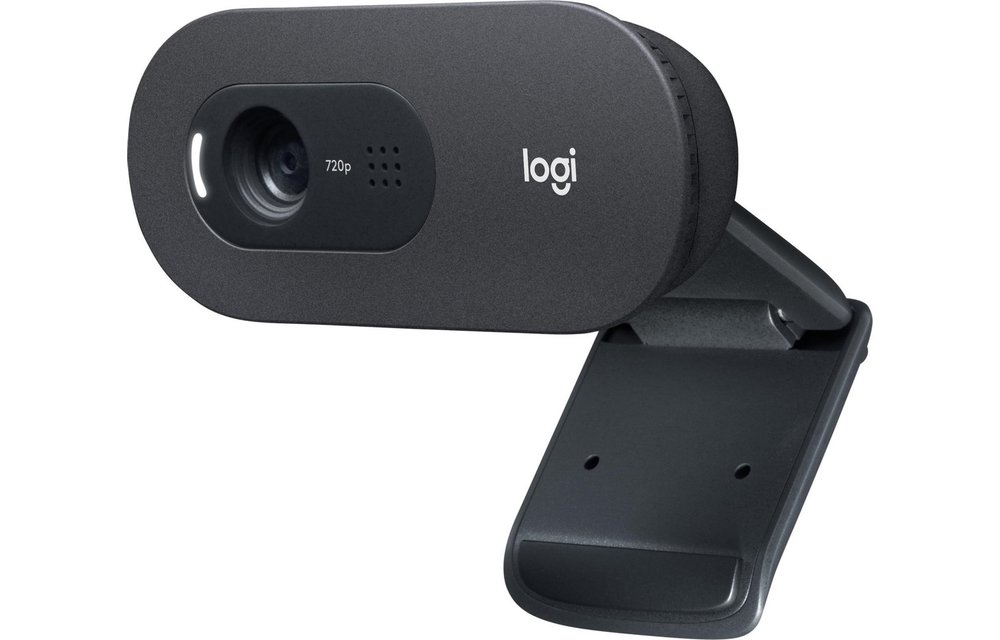 Logitech C505e HD - Webcam