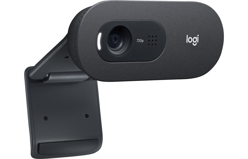 Logitech C505e HD - Webcam
