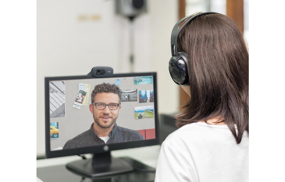 Logitech C505e HD - Webcam