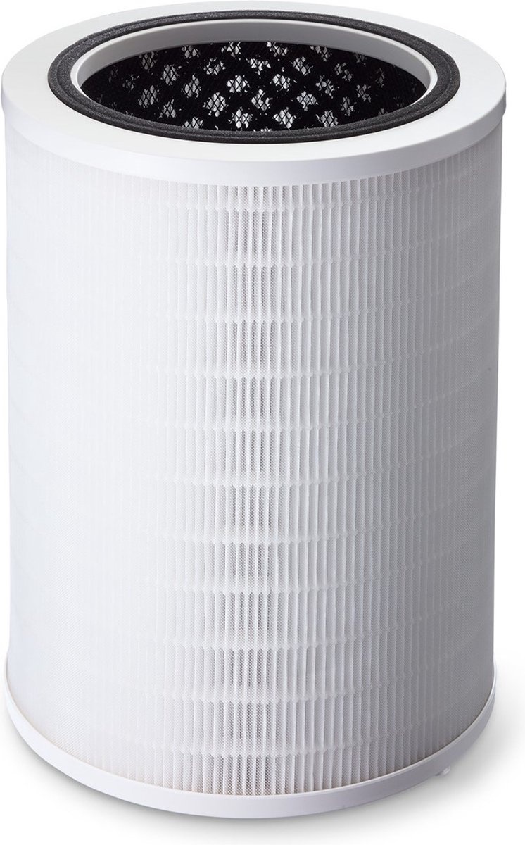 Clean Air Optima Combinatiefilter voor CA-507 Smart