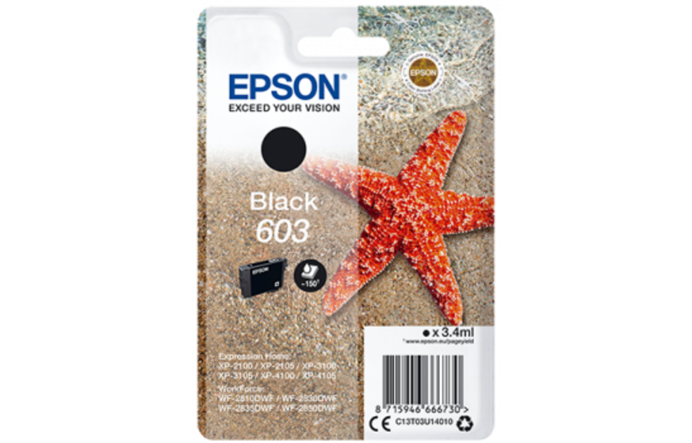 Epson 603 Zwart - Inktcartridge
