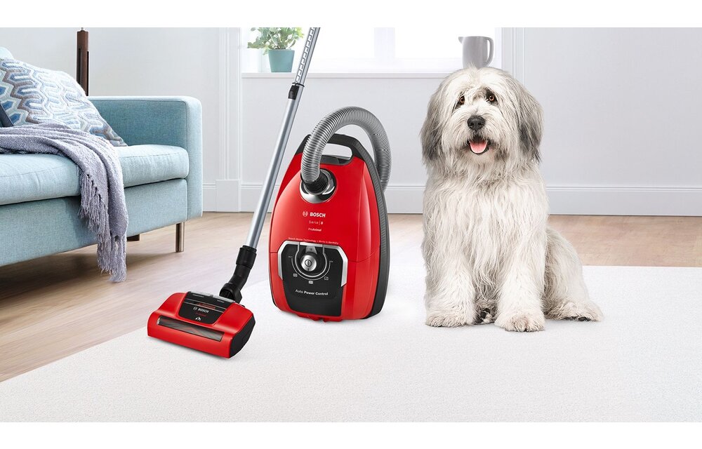Bosch In'genius ProAnimal BGB8PET1 - Stofzuiger met zak