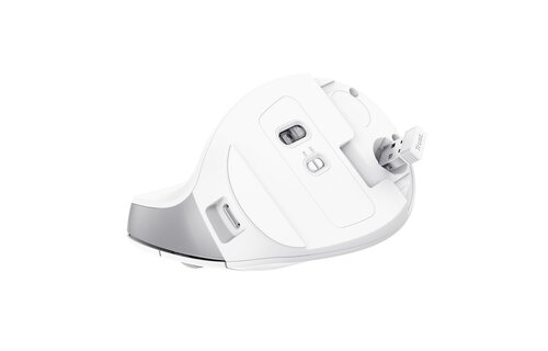 Trust Bayo II Wit - Muis