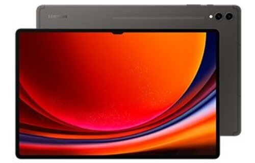 Samsung Galaxy Tab S9 Ultra WiFi 256GB Graphite - Tablet