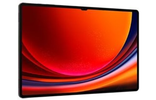 Samsung Galaxy Tab S9 Ultra WiFi 256GB Graphite - Tablet