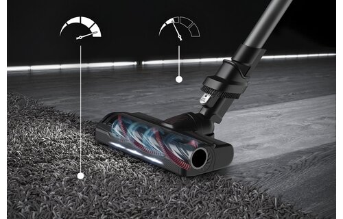 Rowenta RH2087 X-Force Flex 9.60 Animal & Parket - Steelstofzuiger