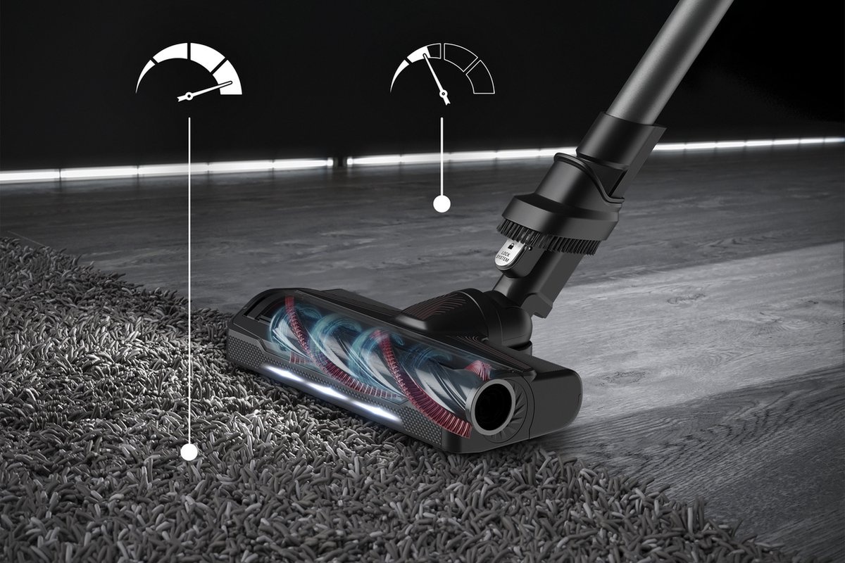 Rowenta RH2087 X-Force Flex 9.60 Animal & Parket - Steelstofzuiger