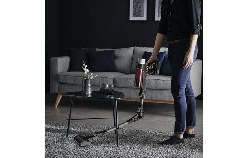 Rowenta RH2087 X-Force Flex 9.60 Animal & Parket - Steelstofzuiger