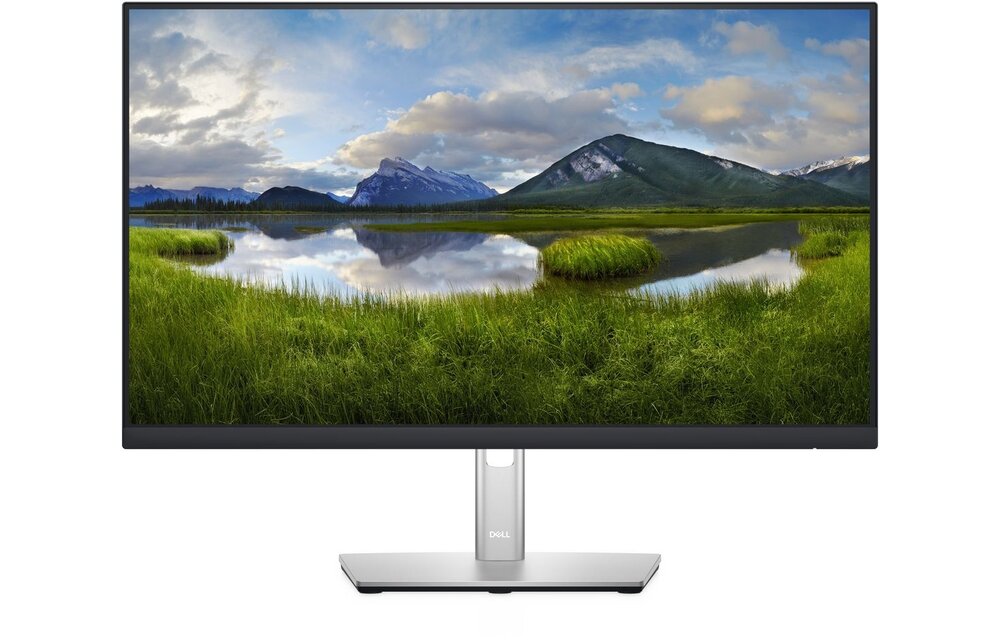 Dell P2422H - Monitor