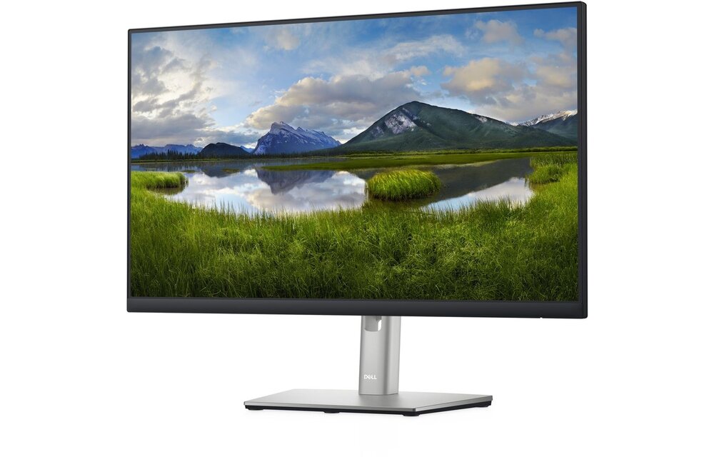 Dell P2422H - Monitor