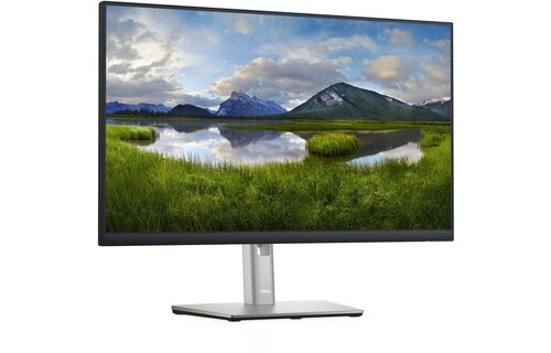 Dell P2422H - Monitor