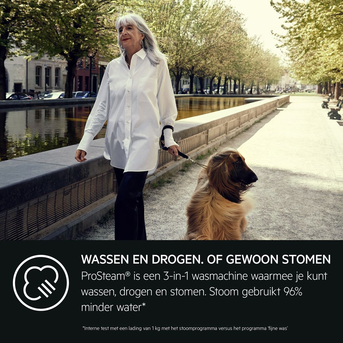 AEG LWR73864 ProSteam - Was-droogcombinatie