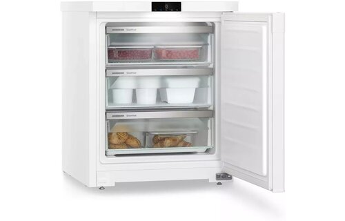 Liebherr Fe 1003-20 - Vrieskast