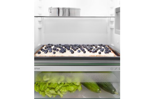 Liebherr IRSe 3900-22 - Inbouw koelkast