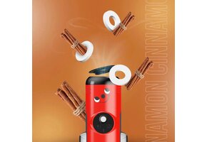 Numatic GC-KAN Geurcapsules kaneel (10 stuks)