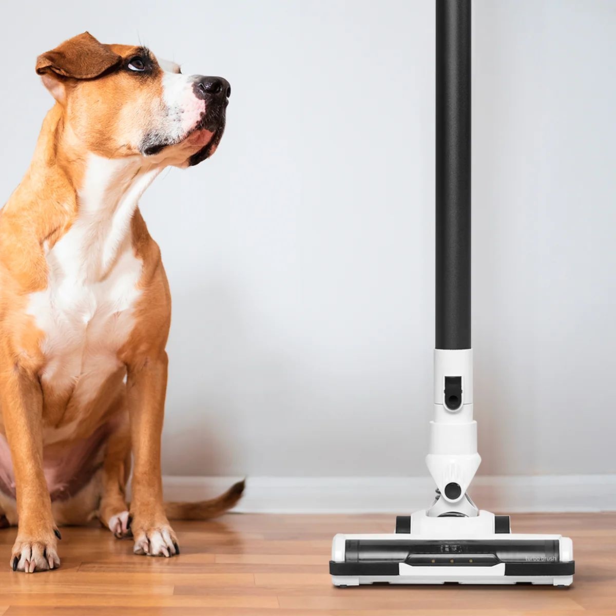 Ufesa Artica - Steelstofzuiger