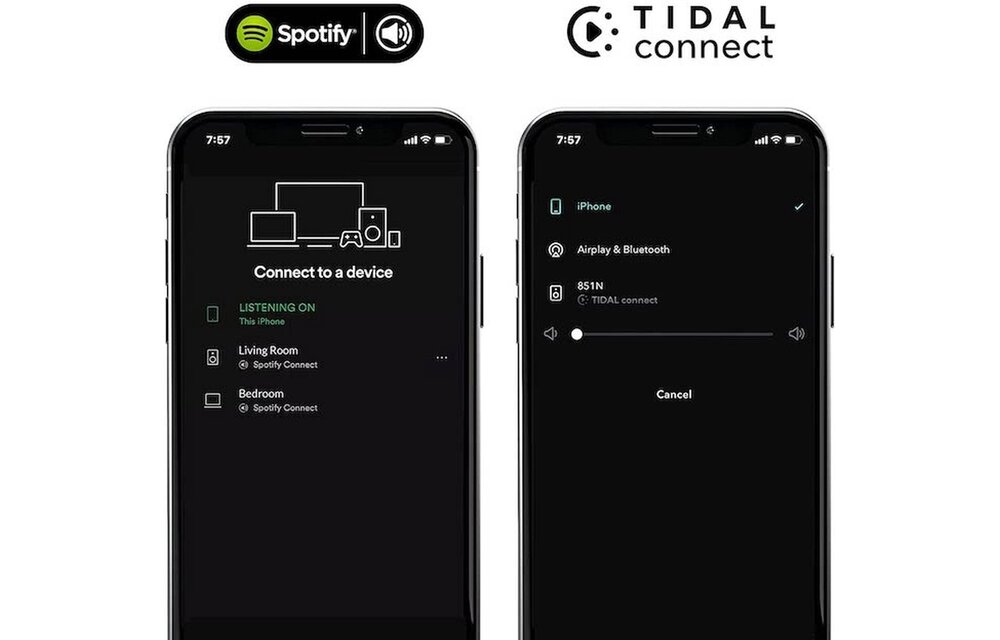 WiiM Mini Audio streamer - Mediaspeler
